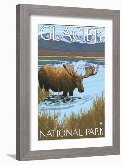 Moose Drinking at Lake, Glacier National Park, Montana-Lantern Press-Framed Art Print