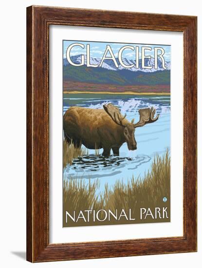 Moose Drinking at Lake, Glacier National Park, Montana-Lantern Press-Framed Art Print