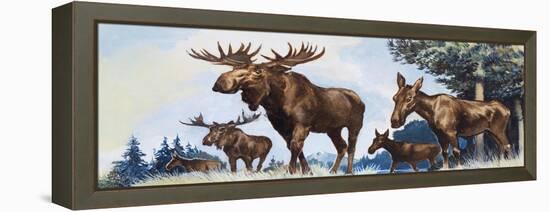 Moose Family-G. W Backhouse-Framed Premier Image Canvas