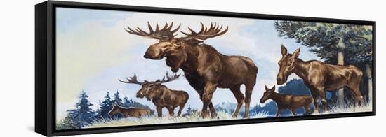 Moose Family-G. W Backhouse-Framed Premier Image Canvas