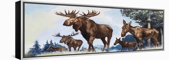 Moose Family-G. W Backhouse-Framed Premier Image Canvas