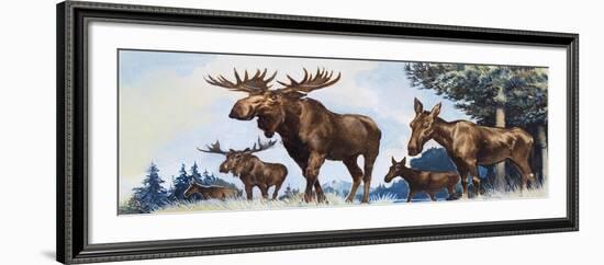 Moose Family-G. W Backhouse-Framed Giclee Print