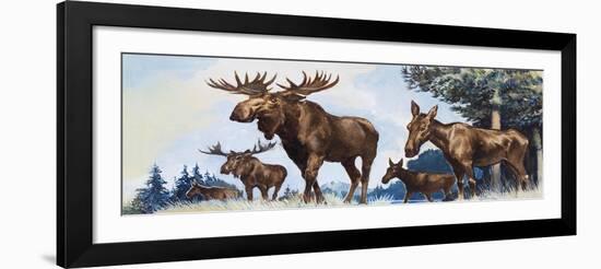 Moose Family-G. W Backhouse-Framed Giclee Print