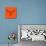 Moose Head Orange Mesh-Lisa Kroll-Premium Giclee Print displayed on a wall