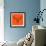 Moose Head Orange Mesh-Lisa Kroll-Framed Art Print displayed on a wall