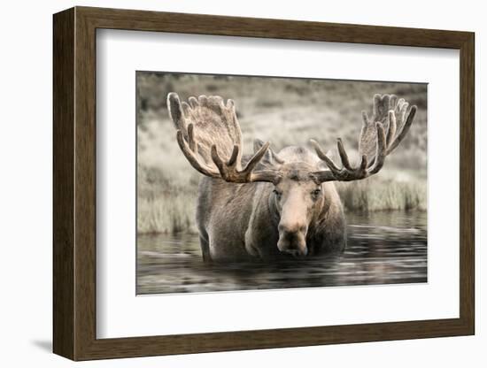 Moose Hot Springs-Danita Delimont-Framed Photo