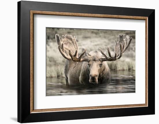 Moose Hot Springs-Danita Delimont-Framed Photo