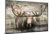 Moose Hot Springs-Danita Delimont-Mounted Photo