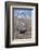 Moose in Field, Grand Teton, Teton Mountains, Grand Teton NP, WYoming-Howie Garber-Framed Photographic Print