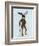 Moose in Suit Full-Fab Funky-Framed Art Print