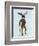 Moose in Suit Full-Fab Funky-Framed Art Print