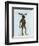 Moose in Suit Full-Fab Funky-Framed Art Print