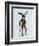 Moose in Suit Full-Fab Funky-Framed Art Print