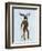 Moose in Suit Full-Fab Funky-Framed Premium Giclee Print