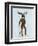 Moose in Suit Full-Fab Funky-Framed Premium Giclee Print