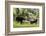 Moose in Uintah Wasatch Cache National Forest, Utah-Howie Garber-Framed Photographic Print