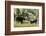 Moose in Uintah Wasatch Cache National Forest, Utah-Howie Garber-Framed Photographic Print