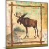 Moose Nature-Walter Robertson-Mounted Art Print