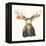 Moose on Cream-Kathy Ferguson-Framed Stretched Canvas