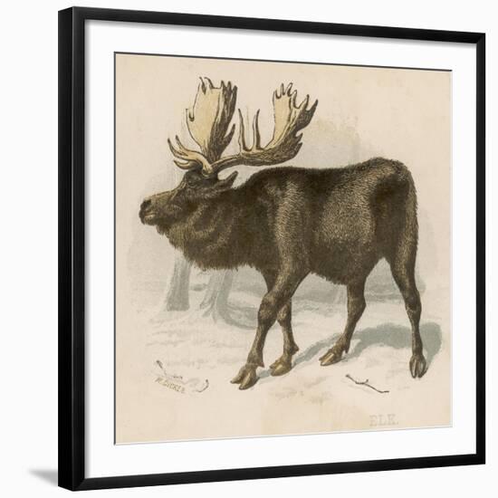Art Print, , large