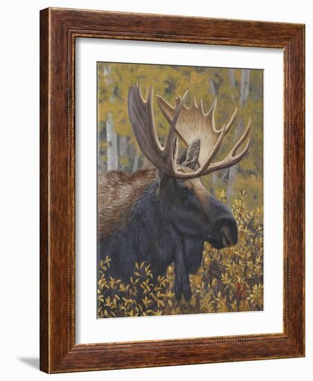 Moose Portrait-Jeffrey Hoff-Framed Photographic Print