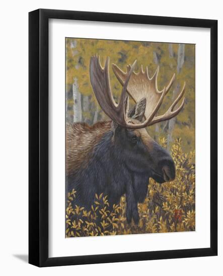 Moose Portrait-Jeffrey Hoff-Framed Photographic Print