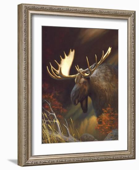 Moose Portrait-Leo Stans-Framed Art Print