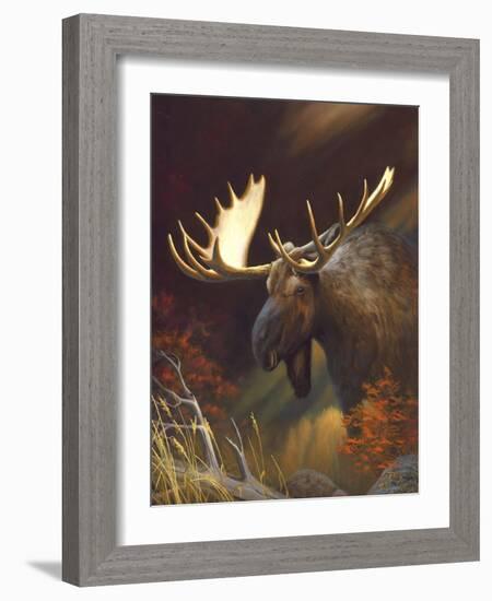 Moose Portrait-Leo Stans-Framed Art Print