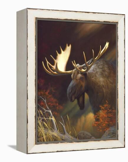 Moose Portrait-Leo Stans-Framed Stretched Canvas