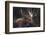 Moose Portrait-Danita Delimont-Framed Photo