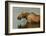 Moose Snack Time-Charles Glover-Framed Giclee Print