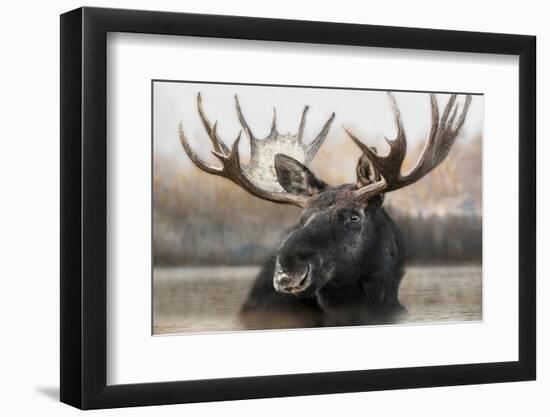 Moose Spa-Danita Delimont-Framed Photo