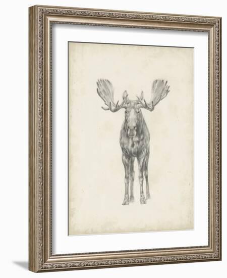 Moose Study-Ethan Harper-Framed Premium Giclee Print