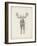 Moose Study-Ethan Harper-Framed Premium Giclee Print