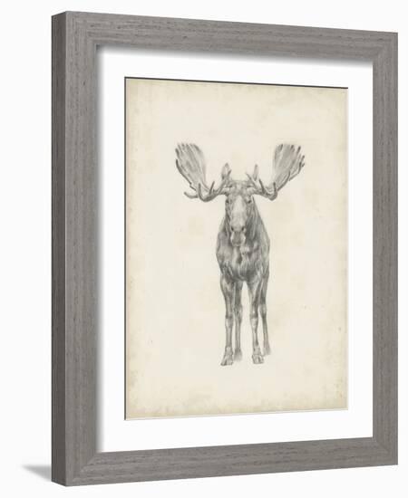 Moose Study-Ethan Harper-Framed Art Print