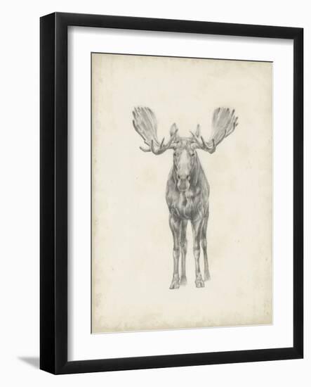 Moose Study-Ethan Harper-Framed Art Print