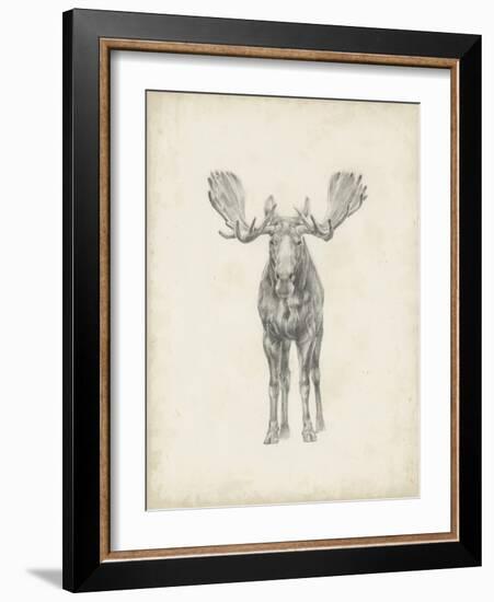 Moose Study-Ethan Harper-Framed Art Print