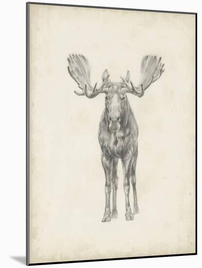 Moose Study-Ethan Harper-Mounted Art Print