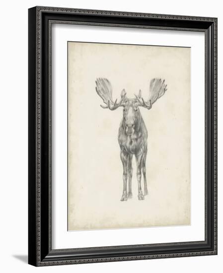 Moose Study-Ethan Harper-Framed Art Print