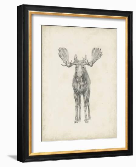 Moose Study-Ethan Harper-Framed Art Print