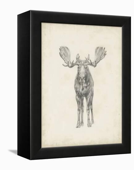 Moose Study-Ethan Harper-Framed Stretched Canvas