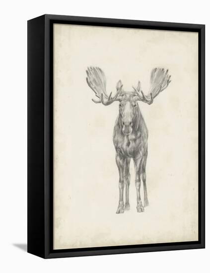 Moose Study-Ethan Harper-Framed Stretched Canvas