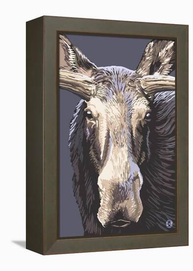 Moose Up Close-Lantern Press-Framed Stretched Canvas