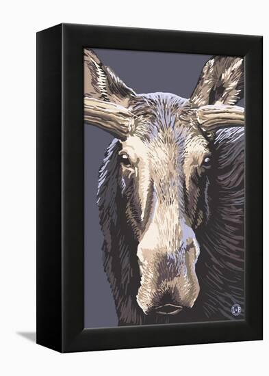 Moose Up Close-Lantern Press-Framed Stretched Canvas