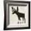 Moose-Sparx Studio-Framed Art Print