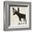 Moose-Sparx Studio-Framed Art Print