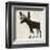 Moose-Sparx Studio-Framed Art Print