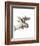 Moose-Philippe Debongnie-Framed Art Print