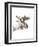 Moose-Philippe Debongnie-Framed Art Print