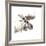 Moose-Philippe Debongnie-Framed Giclee Print